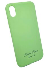 Силиконовый чехол SoundBerry для iPhone 11, GREEN (full silicone) цена и информация | Чехлы для телефонов | pigu.lt