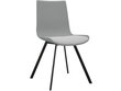2-jų kėdžių komplektas Notio Living Lala, pilkas kaina ir informacija | Virtuvės ir valgomojo kėdės | pigu.lt