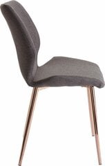2-jų kėdžių komplektas Notio Living Astor, tamsiai pilkas kaina ir informacija | Virtuvės ir valgomojo kėdės | pigu.lt