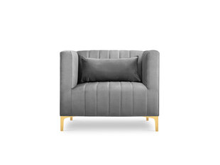 Fotelis Micadoni Home Annite, šviesiai pilkos/auksinės spalvos kaina ir informacija | Svetainės foteliai | pigu.lt