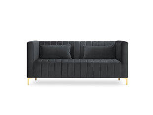 Sofa Micadoni Home Annite 2S, pilka kaina ir informacija | Sofos | pigu.lt