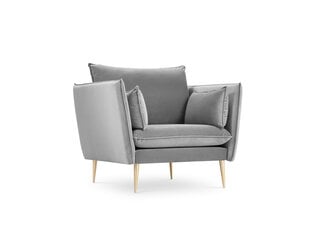 Fotelis Micadoni Home Agate, šviesiai pilkos/auksinės spalvos kaina ir informacija | Svetainės foteliai | pigu.lt