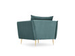 Fotelis Micadoni Home Agate, tamsiai žalios/auksinės spalvos kaina ir informacija | Svetainės foteliai | pigu.lt