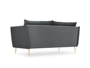 Sofa Micadoni Home Agate 2S, pilkos/auksinės spalvos kaina ir informacija | Sofos | pigu.lt