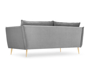Sofa Micadoni Home Agate 3S, šviesiai pilkos/auksinės spalvos kaina ir informacija | Sofos | pigu.lt