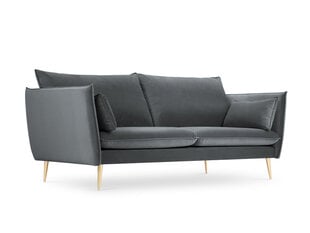 Sofa Micadoni Home Agate 3S, pilkos/auksinės spalvos kaina ir informacija | Sofos | pigu.lt