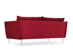 Sofa Micadoni Home Agate 4S, raudonos/auksinės spalvos kaina ir informacija | Sofos | pigu.lt