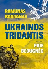 Ukrainos tridantis. Prie bedugnės цена и информация | Романы | pigu.lt