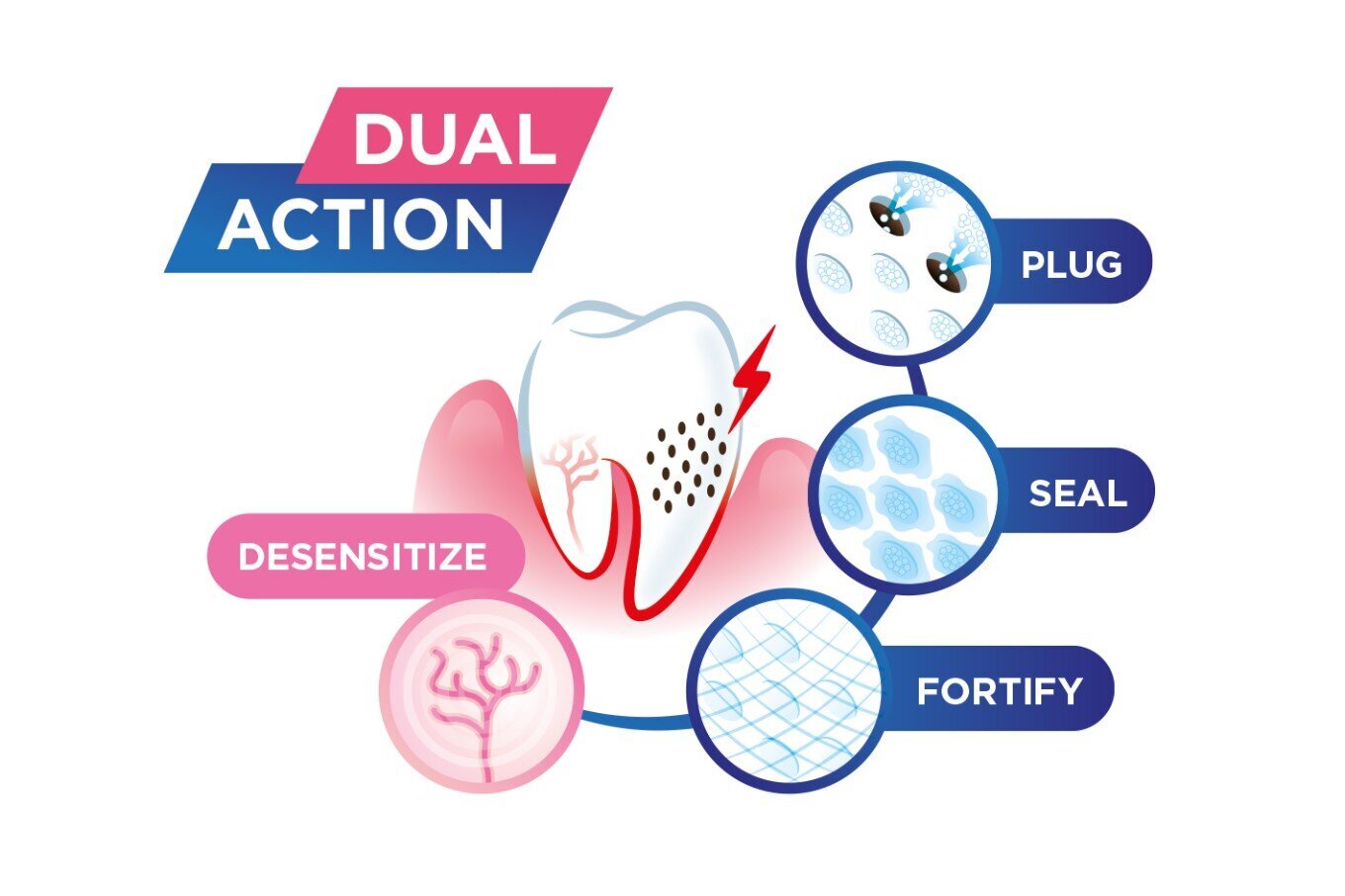 Dantų pasta Sensivital+, 75 ml kaina ir informacija | Dantų šepetėliai, pastos | pigu.lt