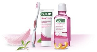 Ополаскиватель Sensivital + 300 мл для ежедневного ухода за чувствительными зубами и деснами G.U.M.® (6081) цена и информация | Зубные щетки, пасты | pigu.lt