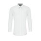 Marškiniai vyrams, balti kaina ir informacija | Vyriški marškiniai | pigu.lt