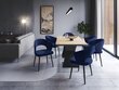 2-jų kėdžių komplektas Windsor and Co Elpis, mėlynas kaina ir informacija | Virtuvės ir valgomojo kėdės | pigu.lt