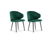 2-jų kėdžių komplektas Windsor and Co Nemesis, žalias kaina ir informacija | Virtuvės ir valgomojo kėdės | pigu.lt