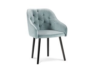 2-jų kėdžių komplektas Milo Casa Luisa, šviesiai mėlynas kaina ir informacija | Virtuvės ir valgomojo kėdės | pigu.lt