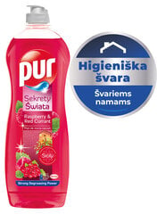 Indų ploviklis PUR Power Raspberry, 750ml kaina ir informacija | Indų plovimo priemonės | pigu.lt