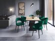 4-ių kėdžių komplektas Windsor and Co Elpis, tamsiai žalias kaina ir informacija | Virtuvės ir valgomojo kėdės | pigu.lt