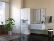 Aukšta vonios spintelė su skalbinių krepšiu DK 2K, blizgi balta kaina ir informacija | Vonios spintelės | pigu.lt