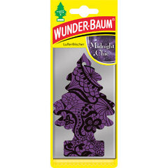 Oro gaiviklis Wunder-Baum Tree "Midnight Chic" kaina ir informacija | Wunder-Baum Autoprekės | pigu.lt