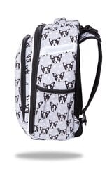 Рюкзак CoolPack Turtle French Bulldogs C15247 цена и информация | Школьные рюкзаки, спортивные сумки | pigu.lt