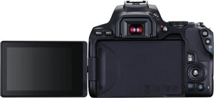 Canon EOS 250D (Black) + EF-S 18-55mm f/4-5.6 IS STM + EF 50mm f/1.8 STM цена и информация | Цифровые фотоаппараты | pigu.lt