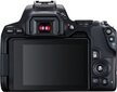 Canon EOS 250D (Black) + EF-S 18-55mm f/4-5.6 IS STM + EF 50mm f/1.8 STM цена и информация | Skaitmeniniai fotoaparatai | pigu.lt