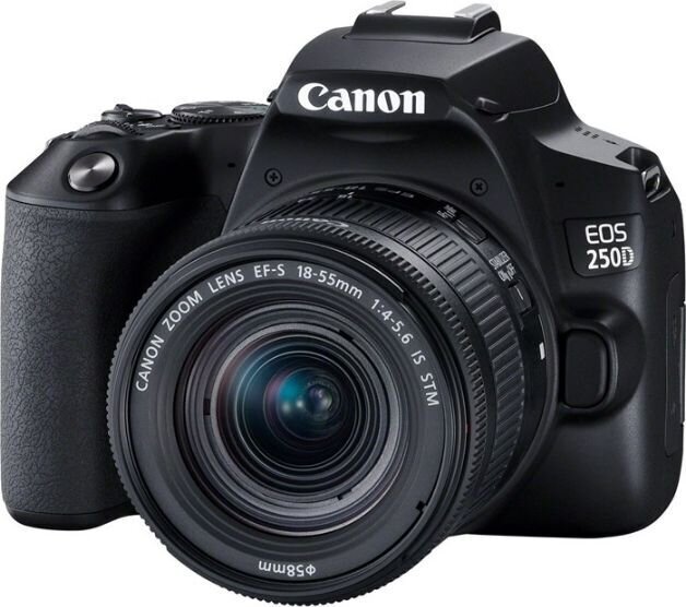 Canon EOS 250D (Black) + EF-S 18-55mm f/4-5.6 IS STM + EF 50mm f/1.8 STM цена и информация | Skaitmeniniai fotoaparatai | pigu.lt