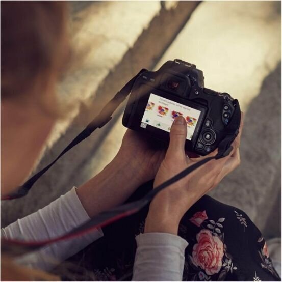 Canon EOS 250D (Black) + EF-S 18-55mm f/4-5.6 IS STM + EF 50mm f/1.8 STM kaina ir informacija | Skaitmeniniai fotoaparatai | pigu.lt