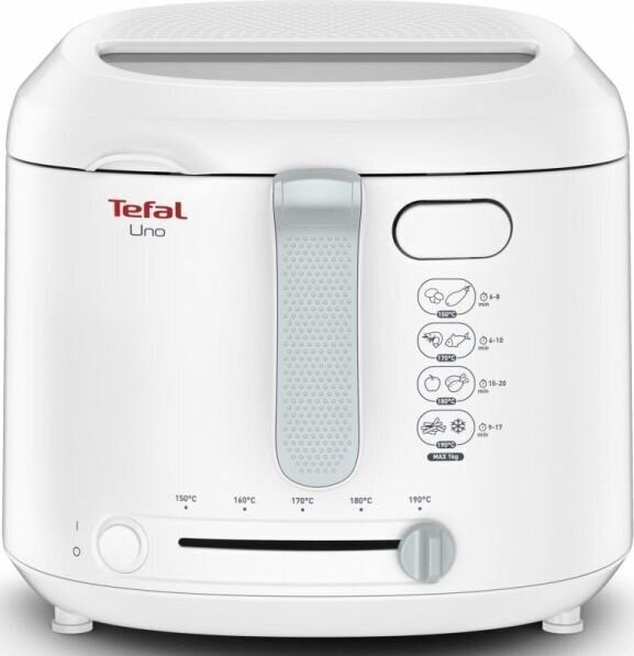 Tefal FF203130 kaina ir informacija | Gruzdintuvės | pigu.lt