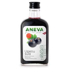 Juodųjų serbentų sultys 100% Aneva J, 200 ml kaina ir informacija | Sultys, nektarai ir sulčių gėrimai | pigu.lt