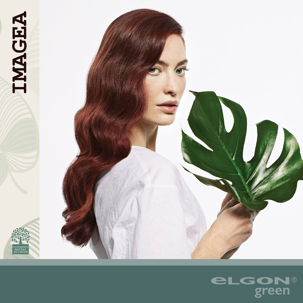 Šampūnas ploniems ir riebiems plaukams ELGON IMAGEA ESSENTIAL 250 ml kaina ir informacija | Šampūnai | pigu.lt