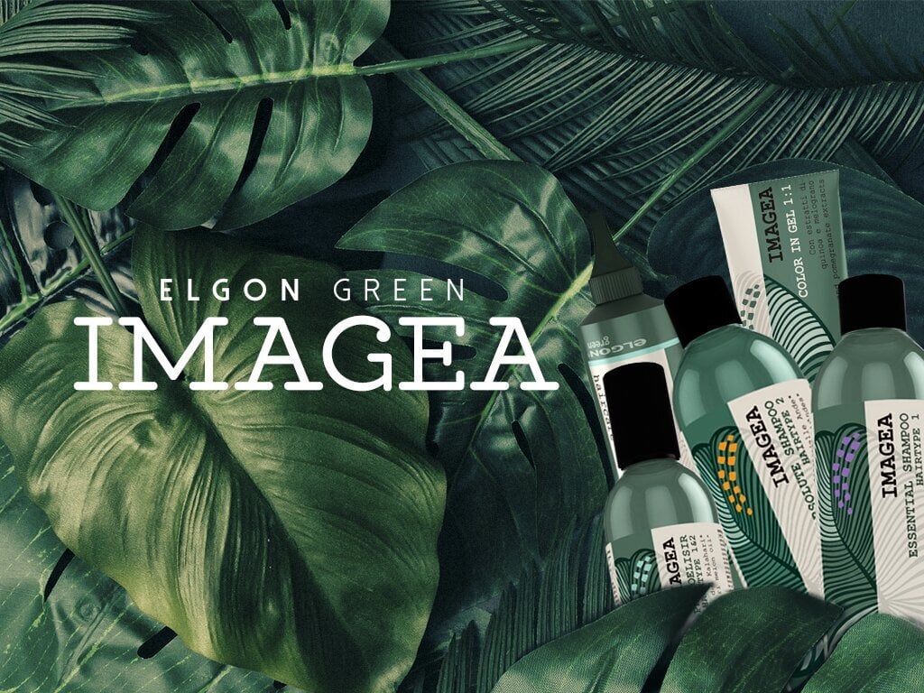 Šampūnas dažytiems plaukams ELGON IMAGEA ABSOLUTE 250 ml kaina ir informacija | Šampūnai | pigu.lt