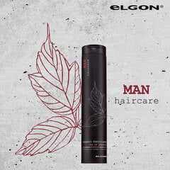Тонизирующий шампунь для волос для мужчин Elgon Man Day Up, 250 мл цена и информация | Шампуни | pigu.lt