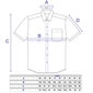 Dryžuoti marškiniai vyrams Nordic, mėlyni цена и информация | Vyriški marškiniai | pigu.lt