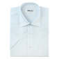 Dryžuoti marškiniai vyrams Nordic, mėlyni kaina ir informacija | Vyriški marškiniai | pigu.lt