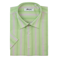 Dryžuoti marškiniai vyrams Nordic, žali kaina ir informacija | Vyriški marškiniai | pigu.lt
