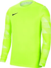 Nike Dry Park IV JSY LS GK JUNIOR vartininko džemperis CJ6072 702 kaina ir informacija | Futbolo apranga ir kitos prekės | pigu.lt