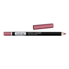 Lūpų kontūro pieštukas Isadora Perfect 1,2 g, 206 Velvet Rose kaina ir informacija | Lūpų dažai, blizgiai, balzamai, vazelinai | pigu.lt