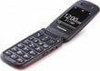 Panasonic KX-TU446EXR Red kaina ir informacija | Mobilieji telefonai | pigu.lt