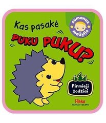 Kas pasakė Puku puku? цена и информация | Книги для детей | pigu.lt