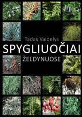 Spygliuočiai želdynuose цена и информация | Книги о садоводстве | pigu.lt