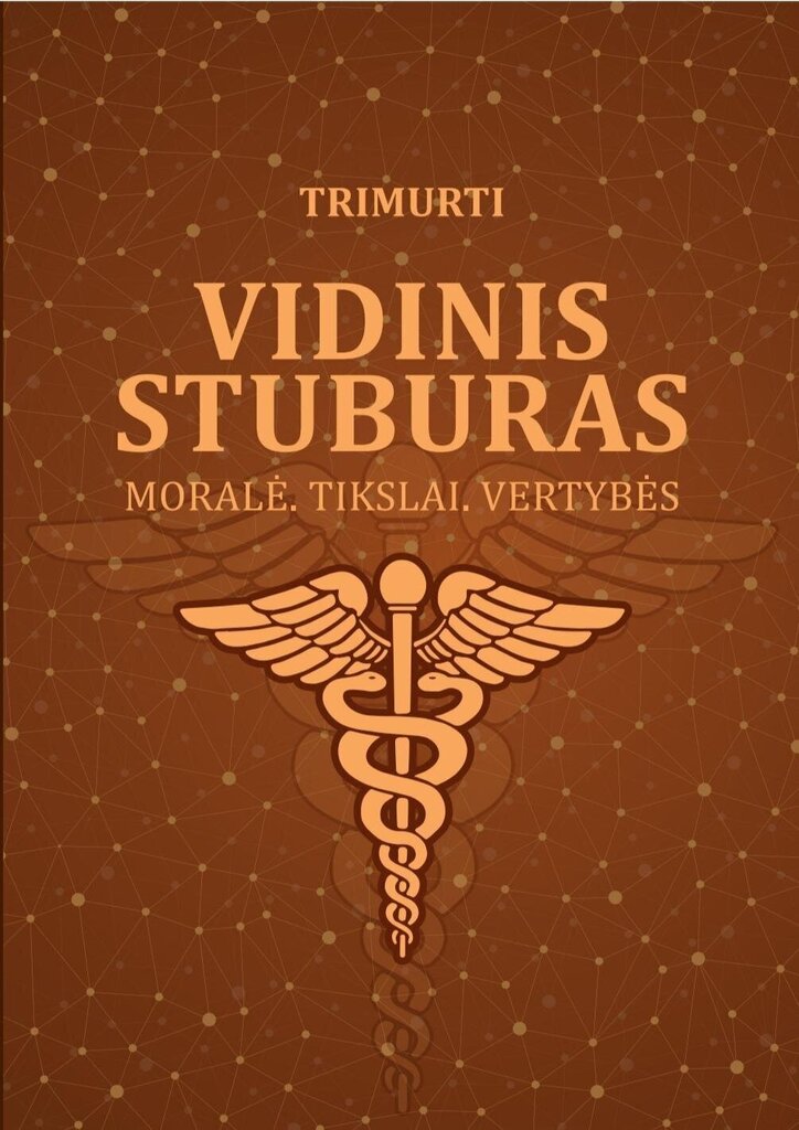 Vidinis Stuburas. Moralė. Tikslai. Vertybės цена и информация | Saviugdos knygos | pigu.lt