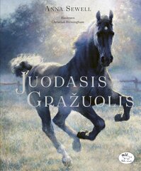 Juodasis gražuolis цена и информация | Книги для детей | pigu.lt