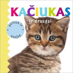 Kačiukas ir draugai цена и информация | Развивающие книги | pigu.lt