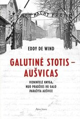 Galutinė stotis - Aušvicas цена и информация | Исторические книги | pigu.lt