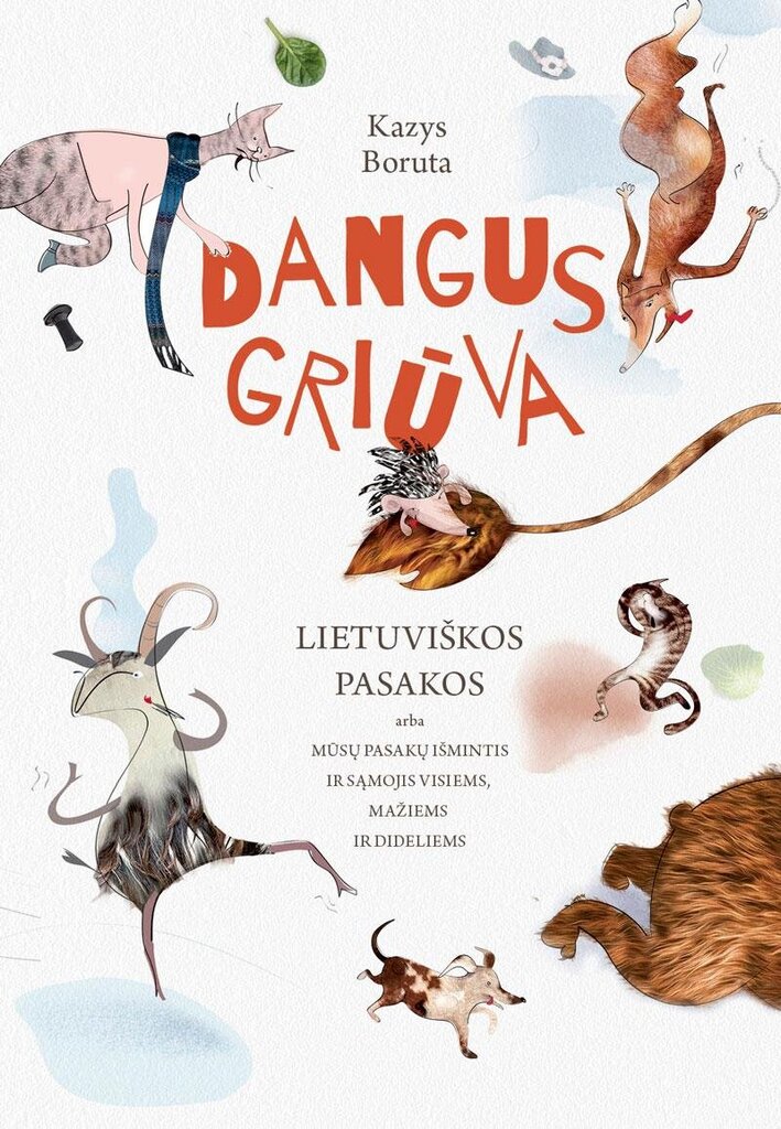 Dangus griūva kaina ir informacija | Pasakos | pigu.lt