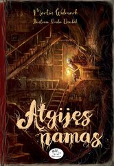 Atgijęs namas цена и информация | Книги для детей | pigu.lt