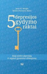 Penki depresijos gydymo raktai kaina ir informacija | Socialinių mokslų knygos | pigu.lt