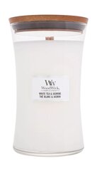 WoodWick ароматическая свеча White Tea & Jasmine, 609,5 г цена и информация | Подсвечники, свечи | pigu.lt