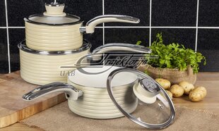 Puodų rinkinys Retro Swan SWPS3020CN цена и информация | Кастрюли, скороварки | pigu.lt