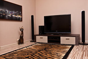 Kilimas Tigras, 40x60 cm цена и информация | Ковры | pigu.lt